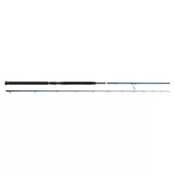 Savage Gear SGS2 Shore Jigging 290cm 20-80g