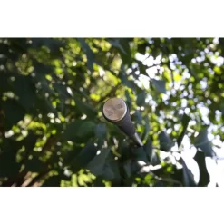 Nash Entity 12ft 3.00lbs Full Shrink 9 Nash Entity 12ft 3.00lbs Full Shrink -Hengelsportwinkel 4324471Nash Entity 12ft 3 00lbs Full Shrink 2