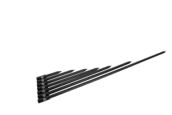 20/20 Captive Bankstick