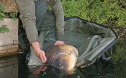 Elite Camou Carpmaster Cradle De Luxe *** SALE*** 5 Elite Camou Carpmaster Cradle De Luxe *** SALE*** -Hengelsportwinkel elite camou carpmaster cradle de luxe sale 2